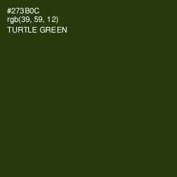 #273B0C - Turtle Green Color Image
